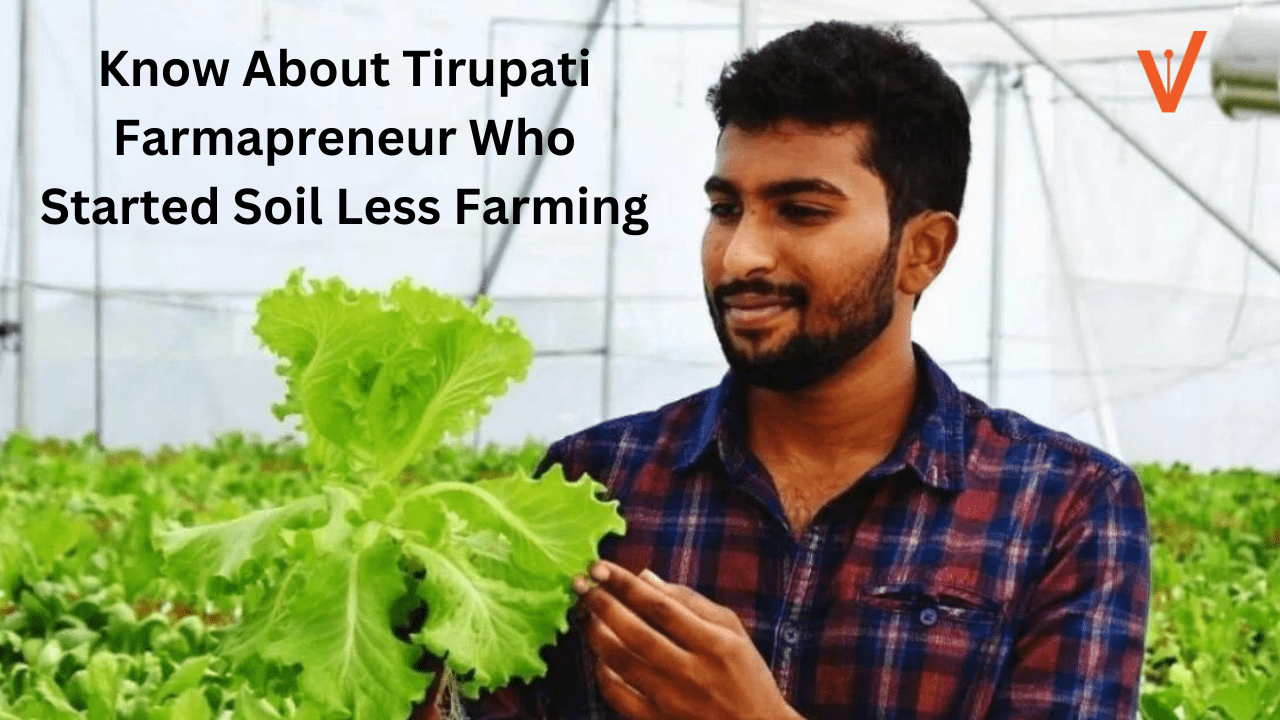 Know About Tirupati Farmapreneur Who Started Soil Less Farming
