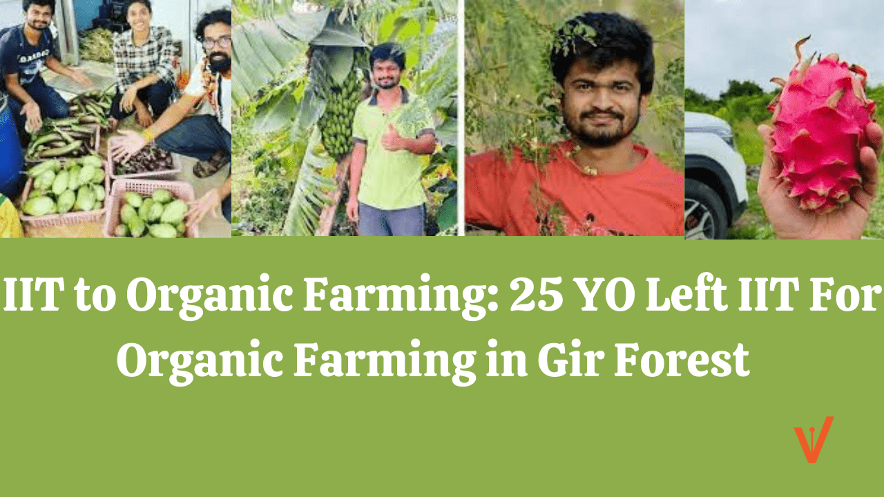 Know Why Siddharth Left IIT Prep and Started Organic Farming