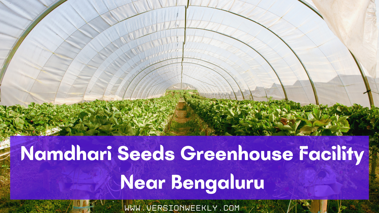 Namdhari Seeds Greenhouse Facility Near Bengaluru