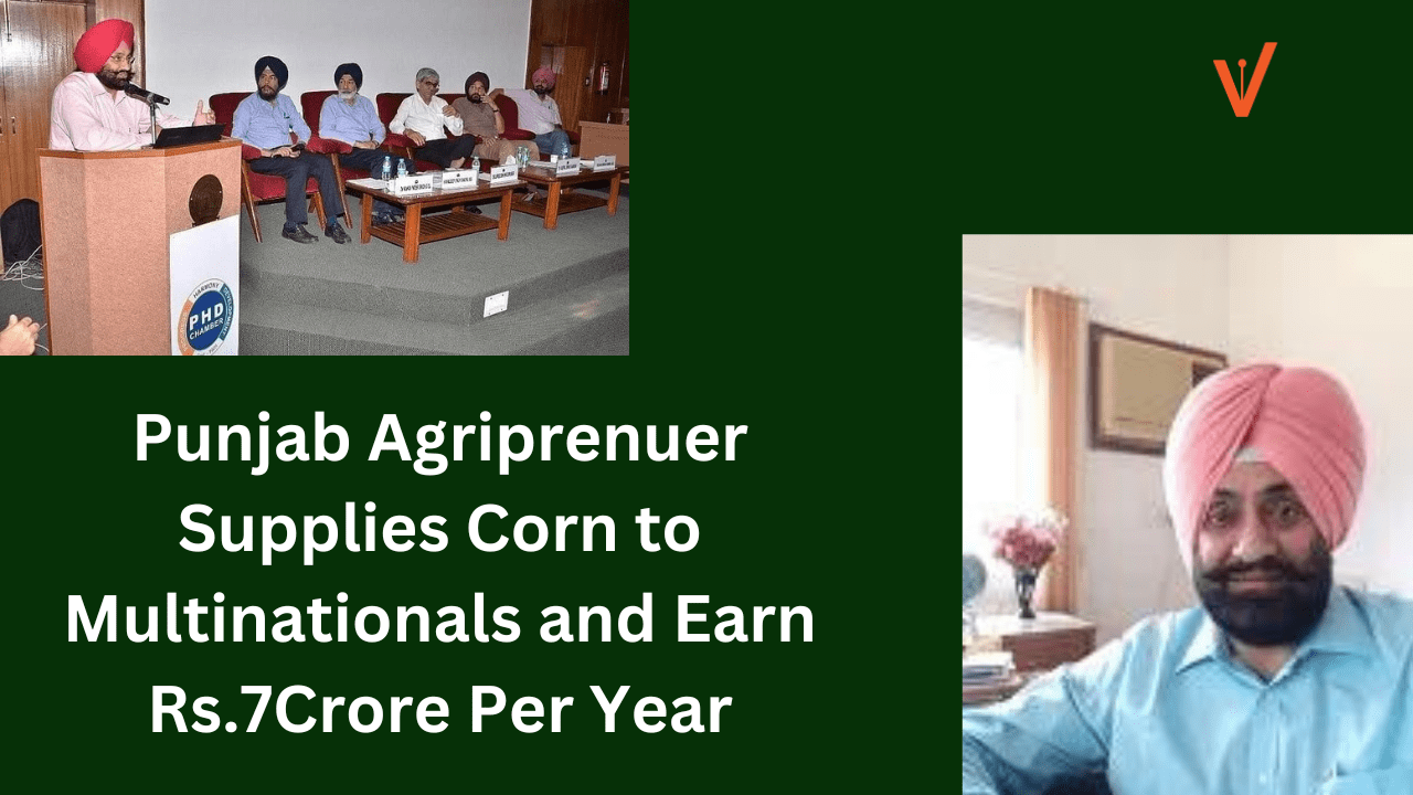 Punjab Agriprenuer Supplies Corn to Multinationals and Earn Rs.7Crore Per Year