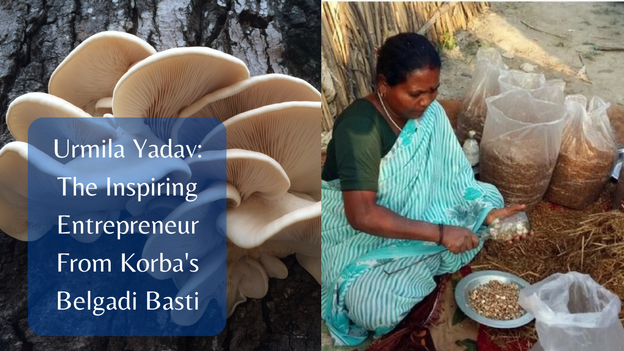 Urmila Yadav The Inspiring Entrepreneur From Korba's Belgadi Basti
