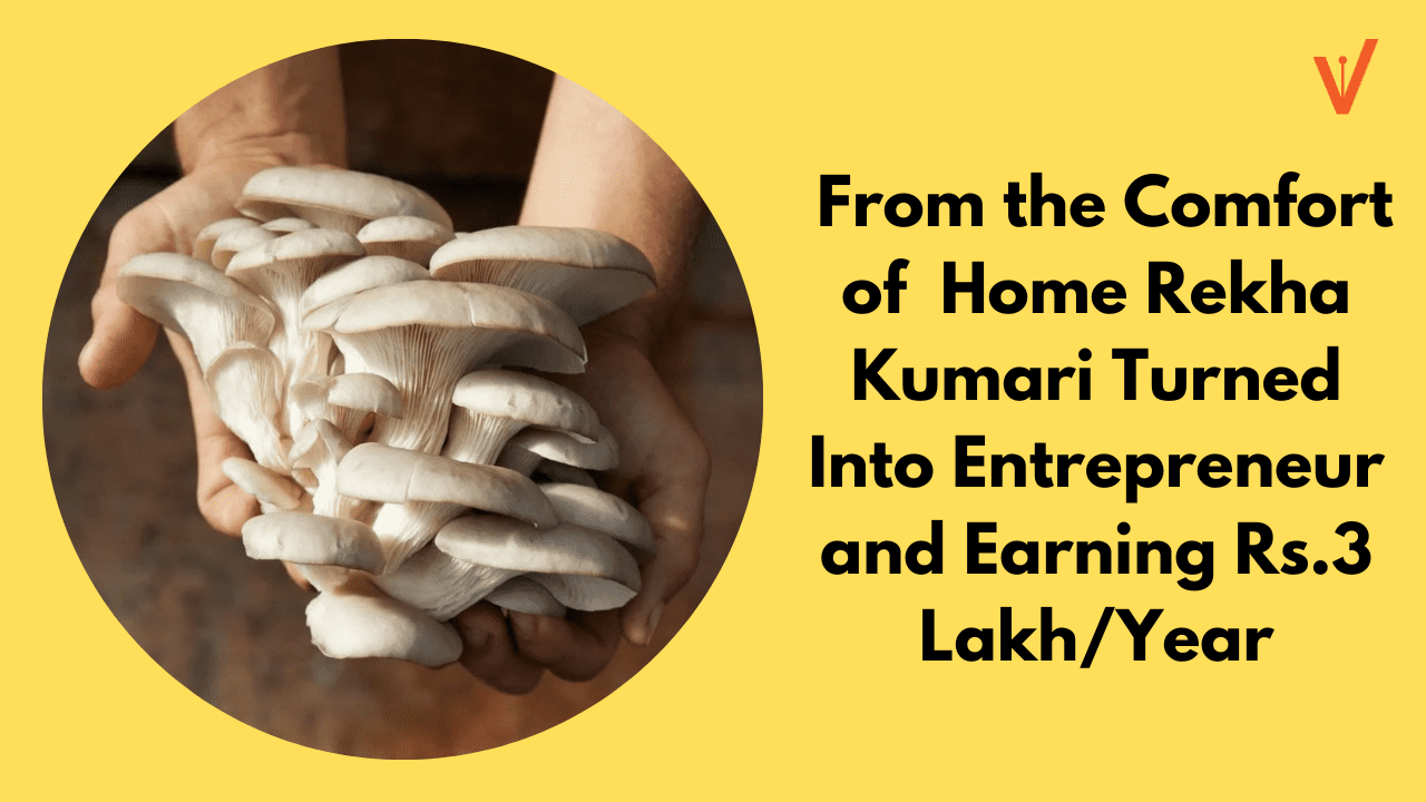 From the Comfort of Home Rekha Kumari Turned Into Entrepreneur and Earning Rs.3 Lakh/Year
