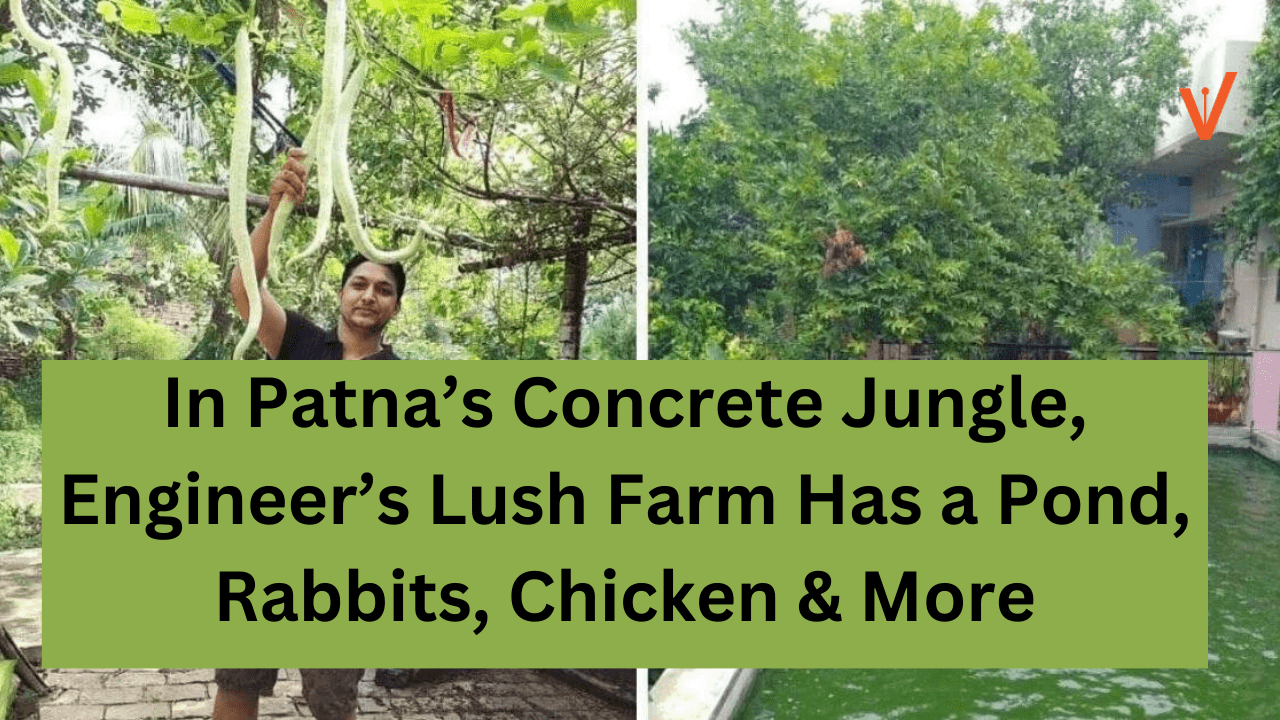 In Patna’s Concrete Jungle, Engineer’s Lush Farm Has a Pond, Rabbits, Chicken & More (1) (1)