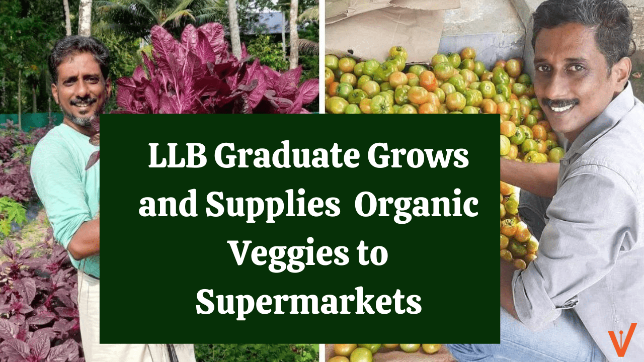 LLB Graduate Grows and Supplies Organic Veggies to Supermarkets