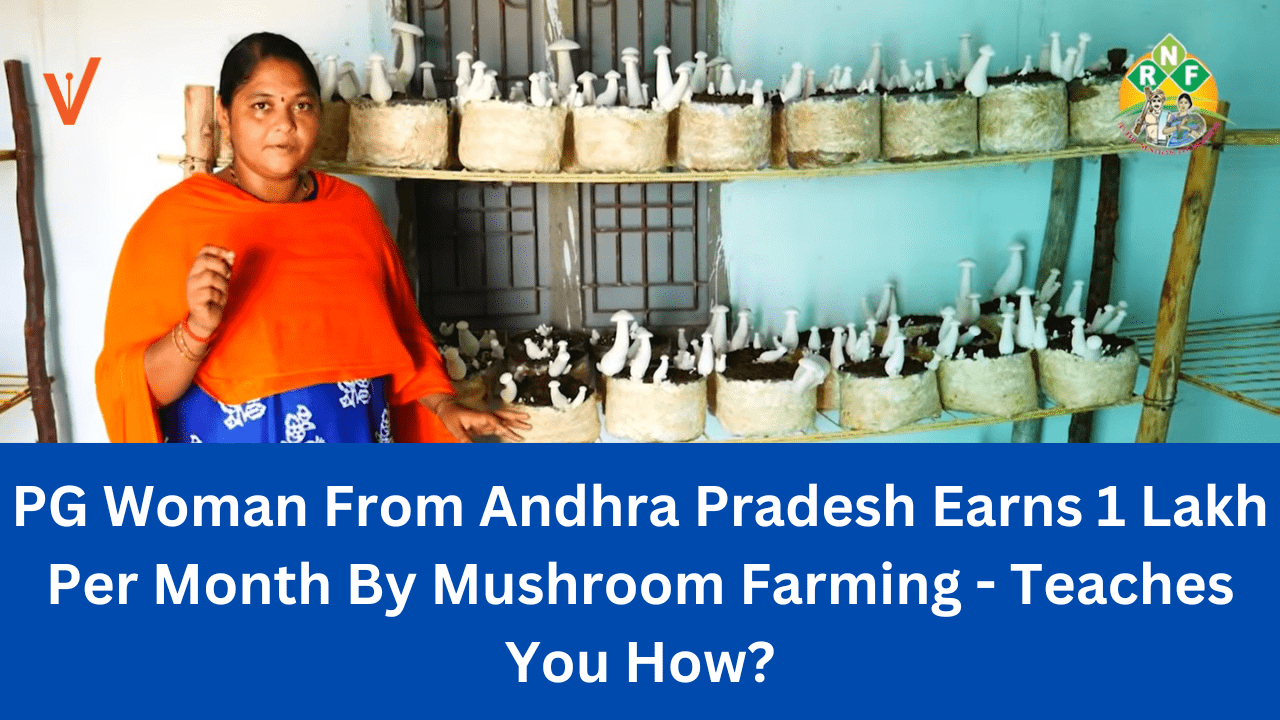 PG Woman From Andhra Pradesh Earns 1 Lakh Per Month By Mushroom Farming - Teaches You How