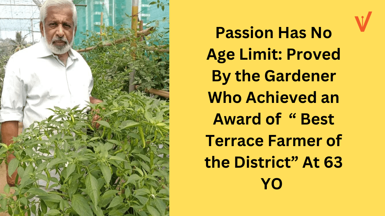 Passion Has No Age Limit Proved By the Gardener Who Acheived an Award of “ Best Terrace Farmer of the District” At 63 YO